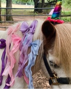 Unicorn Party