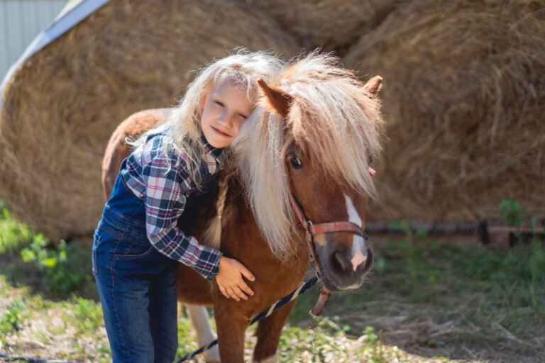 Shetland pony experience