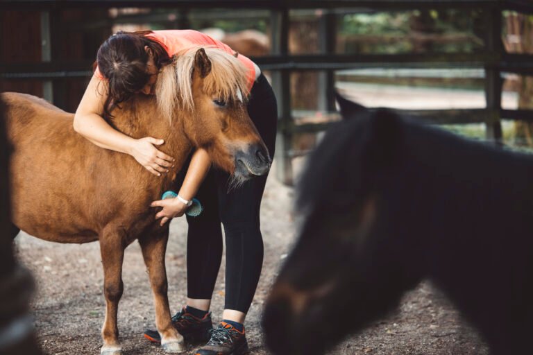 equine therapy for autism